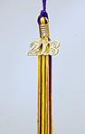 Middle School Tassel 2008